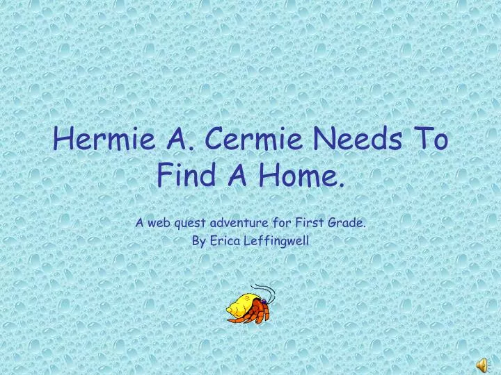 hermie a cermie needs to find a home
