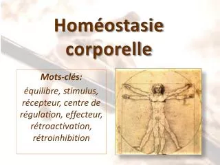 hom ostasie corporelle