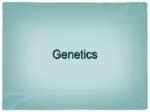 PPT - Genetics PowerPoint Presentation, Free Download - ID:6855611