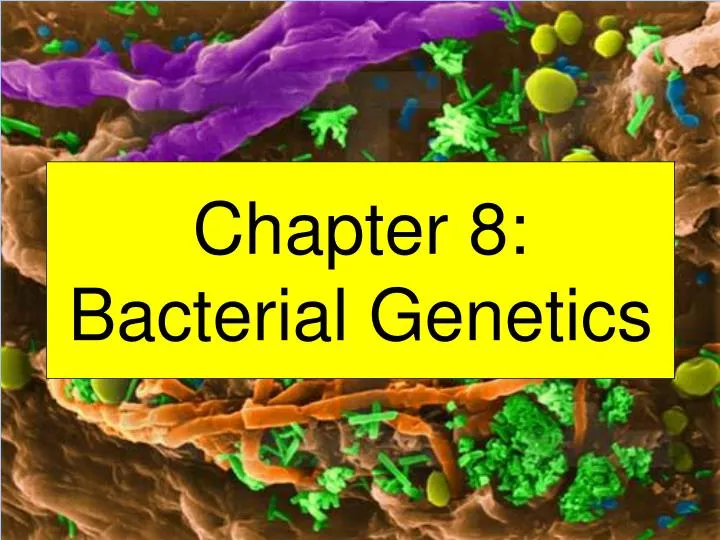 chapter 8 bacterial genetics