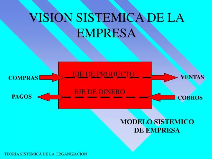 vision sistemica de la empresa