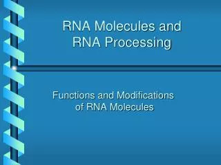 RNA Molecules and RNA Processing