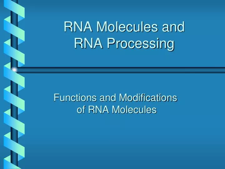 rna molecules and rna processing
