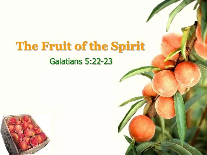 the fruit of the spirit