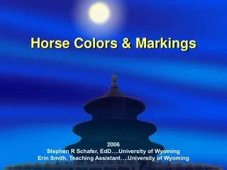 Horse Colors &amp; Markings