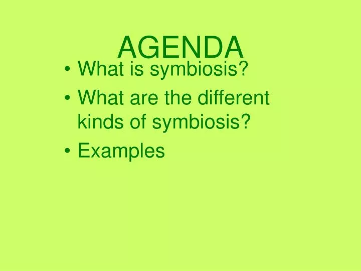 agenda