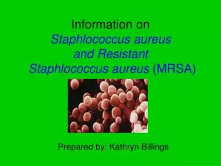Information on Staphlococcus aureus and Resistant Staphlococcus aureus (MRSA)