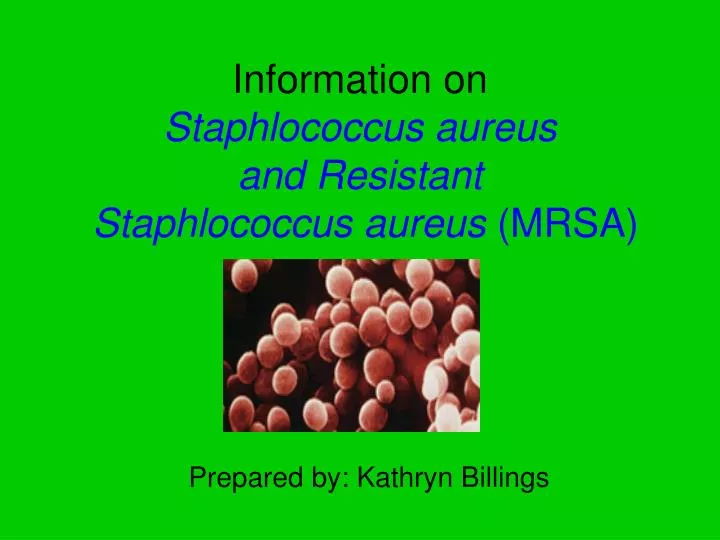 information on staphlococcus aureus and resistant staphlococcus aureus mrsa
