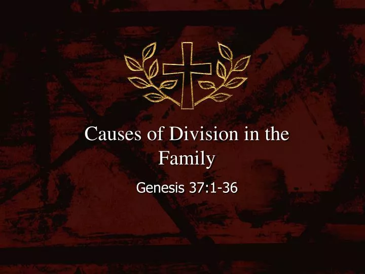 causes of division in the family