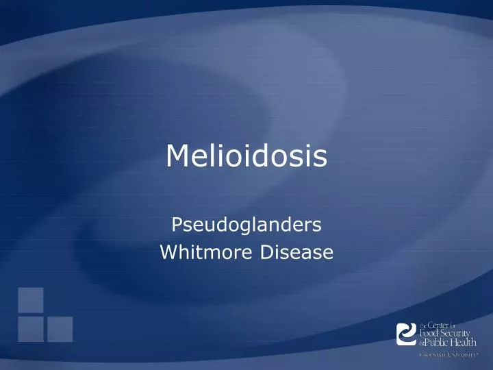 melioidosis