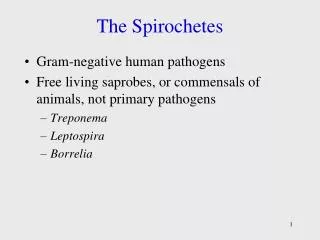 The Spirochetes