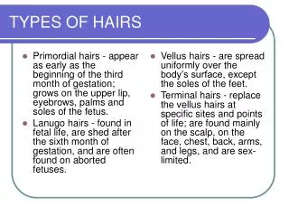 TYPES OF HAIRS