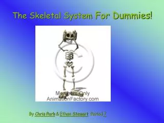 The Skeletal System For Dummies!
