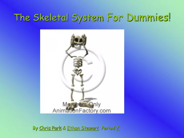 the skeletal system for dummies