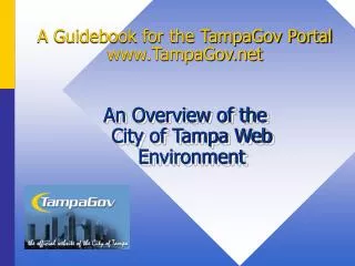 A Guidebook for the TampaGov Portal TampaGov
