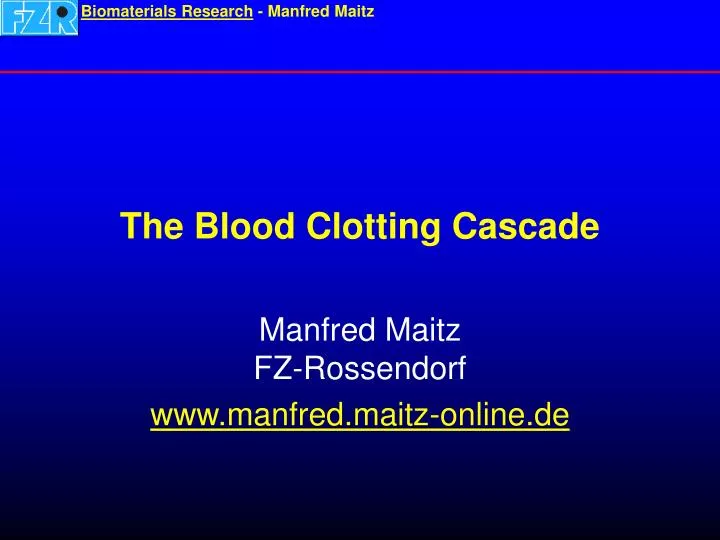 the blood clotting cascade