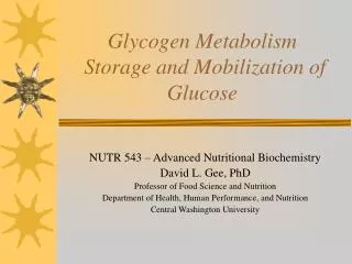 Glycogen Metabolism Storage and Mobilization of Glucose