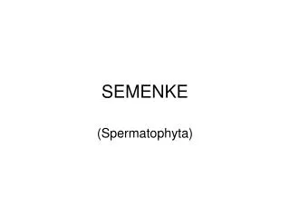 semenke
