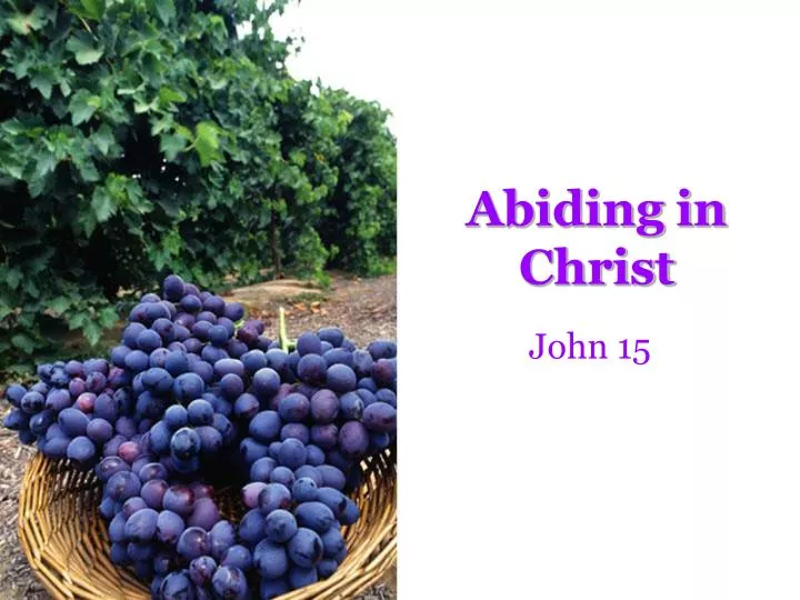 abiding in christ
