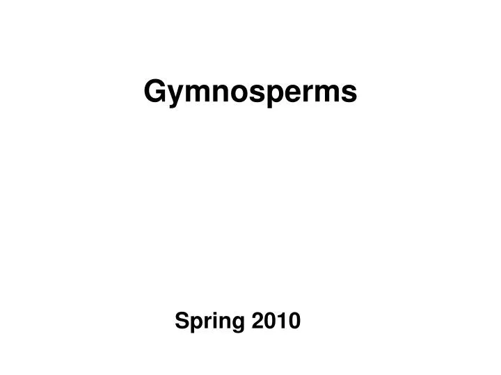 gymnosperms