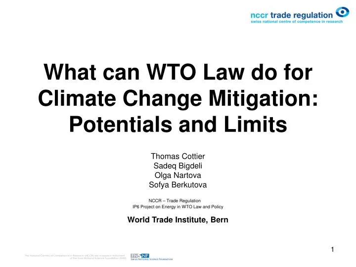 what can wto law do for climate change mitigation potentials and limits