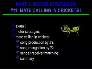 exam I motor strategies mate calling in crickets song production by  s song recognition by  s sender-receiver