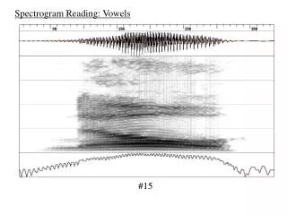 Spectrogram Reading: Vowels