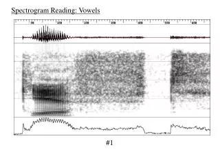 Spectrogram Reading: Vowels