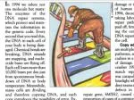 DNA Repair and Mutations - slide 1