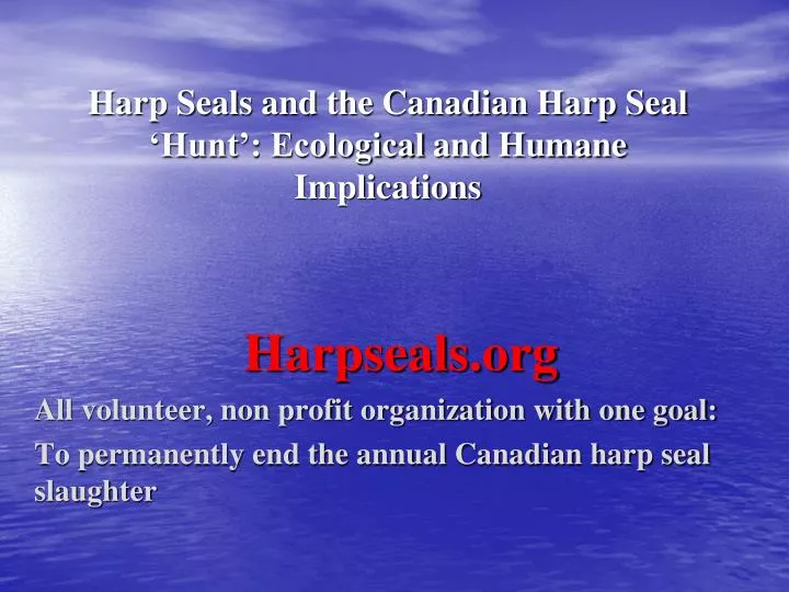 harp seals and the canadian harp seal hunt ecological and humane implications
