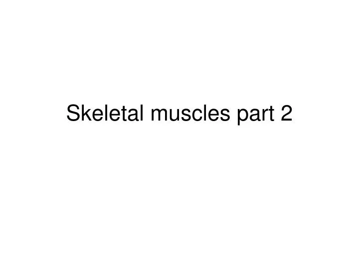 skeletal muscles part 2