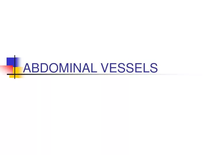 abdominal vessels