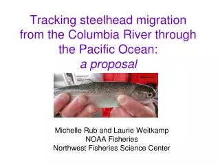 Tracking steelhead migration from the Columbia River through the Pacific Ocean: a proposal