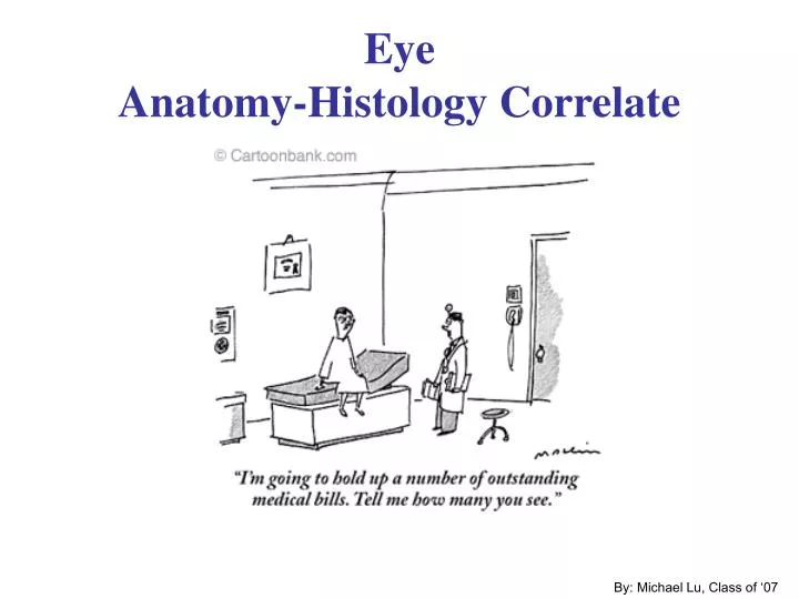 eye anatomy histology correlate
