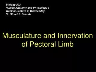 Biology 223 Human Anatomy and Physiology ! Week 6; Lecture 2; Wednesday Dr. Stuart S. Sumida