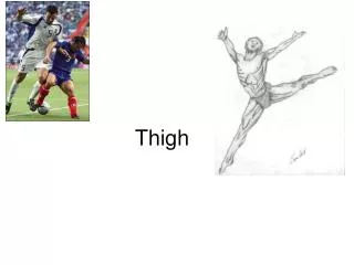 Thigh