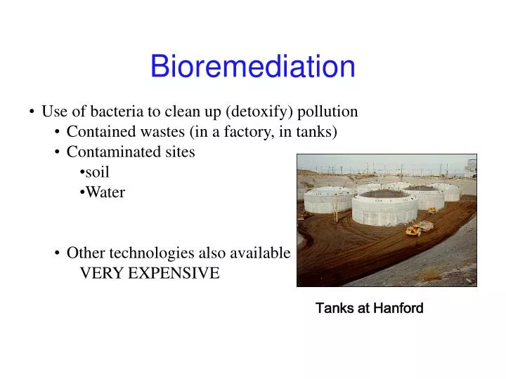 bioremediation