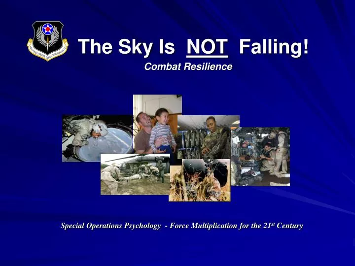 the sky is not falling combat resilience