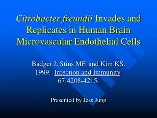 Citrobacter freundii Invades and Replicates in Human Brain Microvascular Endothelial Cells