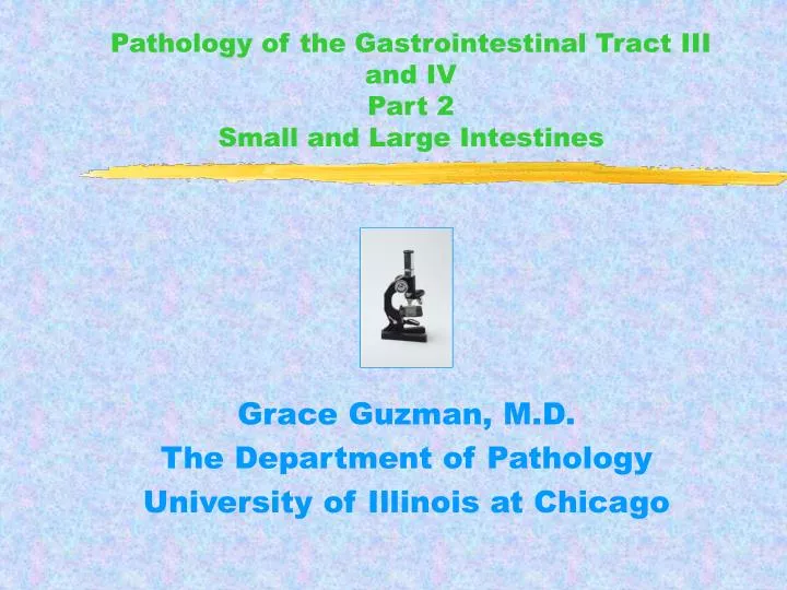 pathology of the gastrointestinal tract iii and iv part 2 small and large intestines