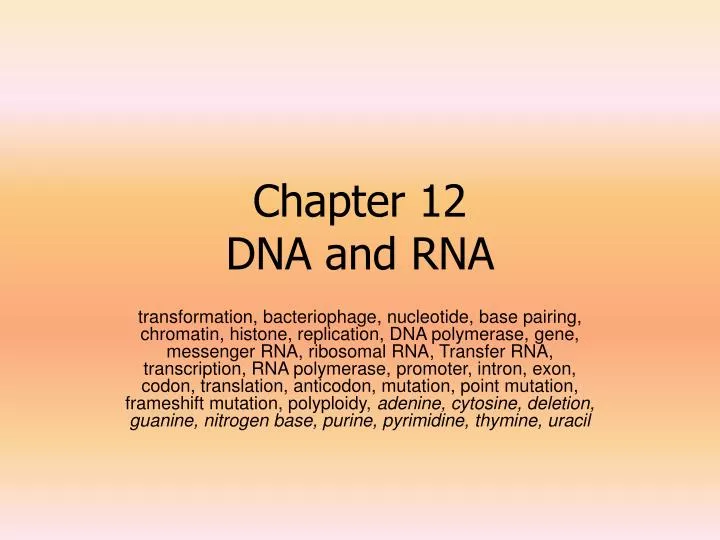 chapter 12 dna and rna