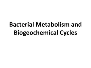 Bacterial Metabolism and Biogeochemical Cycles
