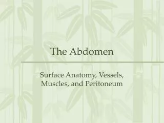 The Abdomen
