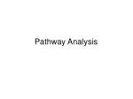 Pathway Analysis