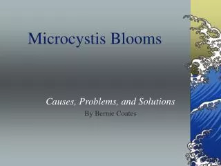 Microcystis Blooms