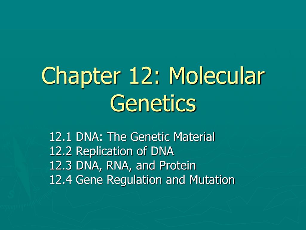 PPT - Chapter 12: Molecular Genetics PowerPoint Presentation, free ...