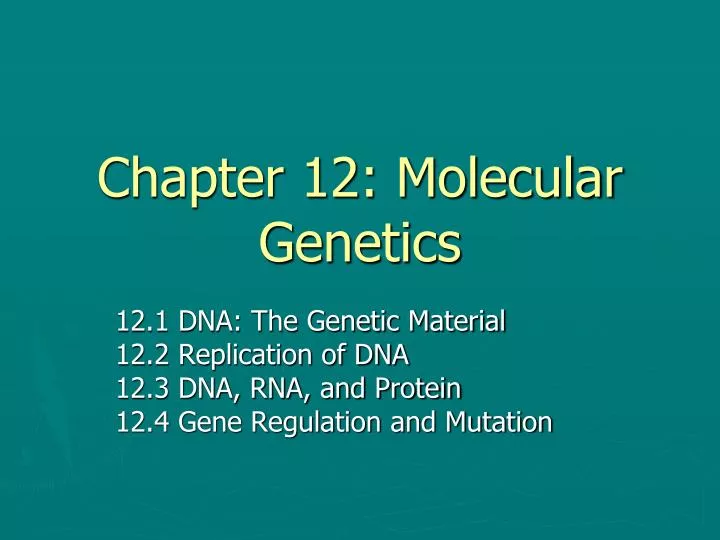 chapter 12 molecular genetics