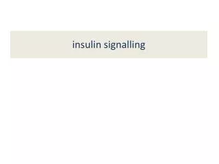 insulin signalling