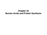 Nucleic Acids: DNA, RNA, and Protein Synthesis - slide 1
