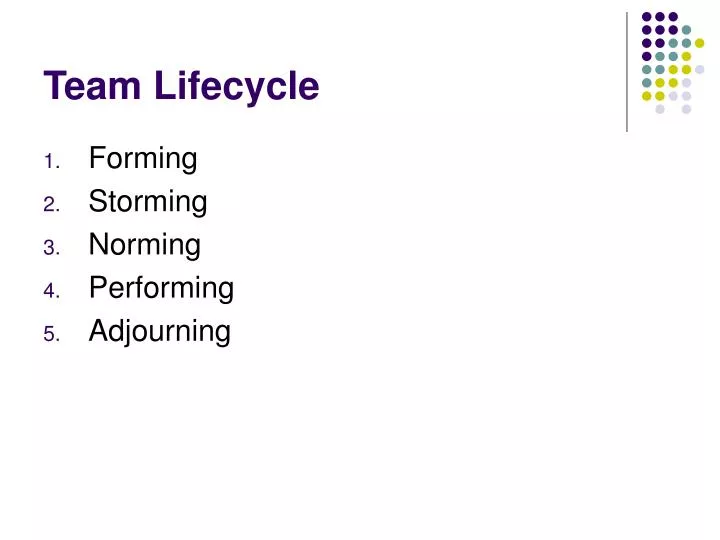 team lifecycle